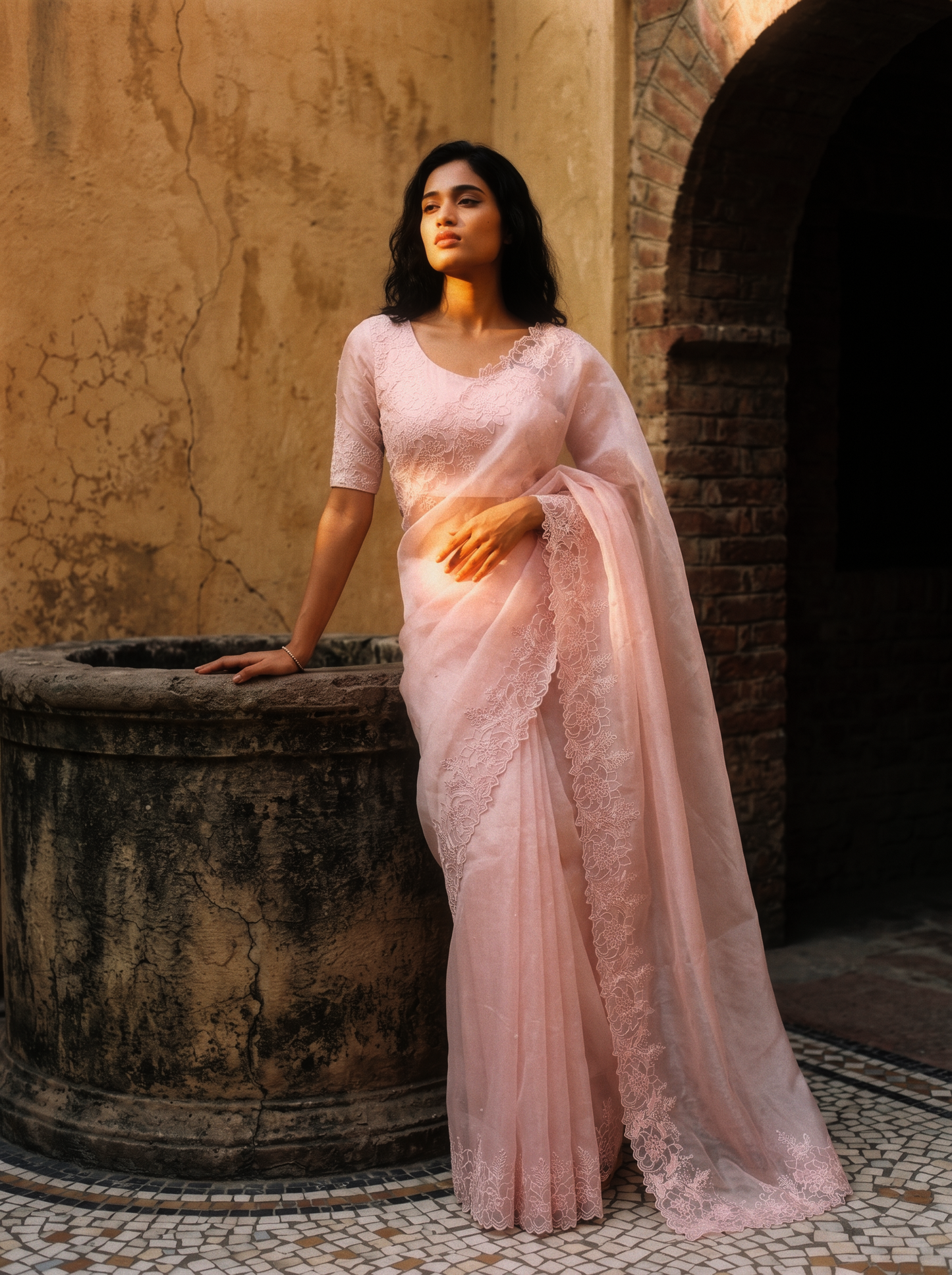 Light Pink Motiwork Saree