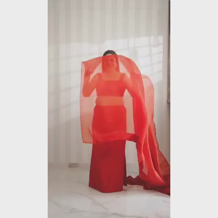 Load and play video in Gallery viewer, Amber Red Pure Organza Saree and Embroidered Cape
